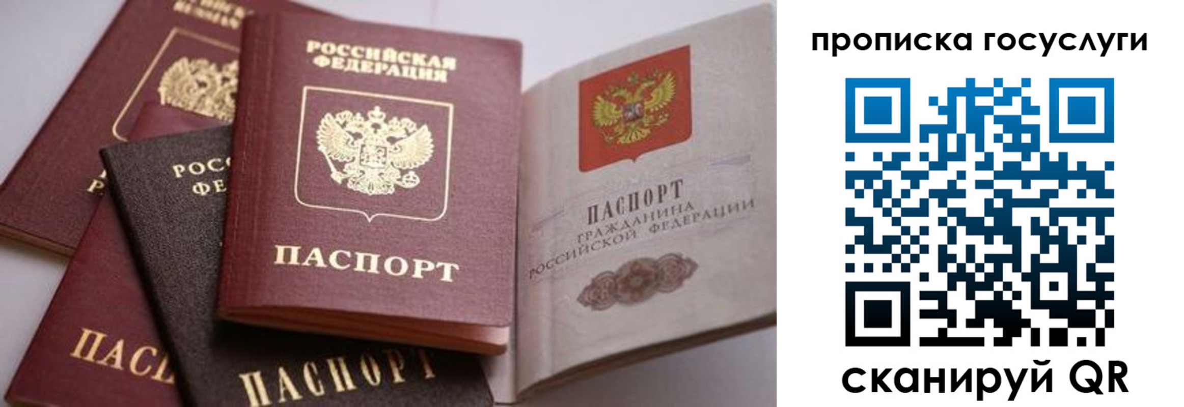 прописка иностранных граждан в Хабаровском крае