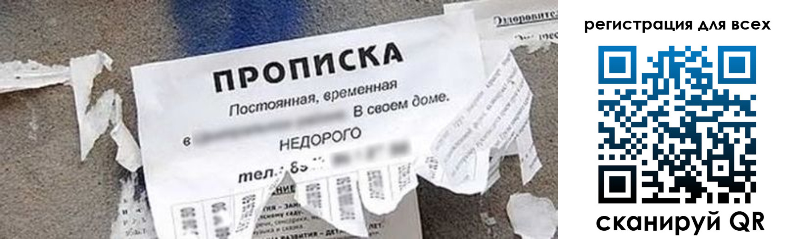 прописка поиск в Хабаровском крае